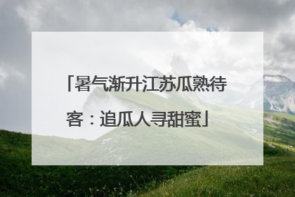 暑气渐升江苏瓜熟待客：追瓜人寻甜蜜