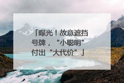 曝光！故意遮挡号牌，“小聪明”付出“大代价”