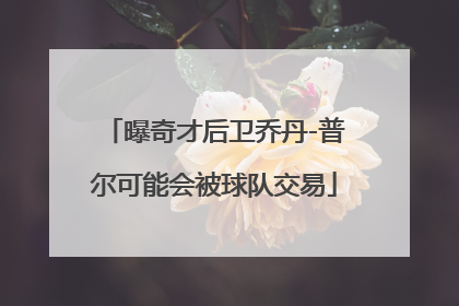 曝奇才后卫乔丹-普尔可能会被球队交易
