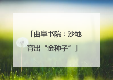曲阜书院：沙地育出“金种子”