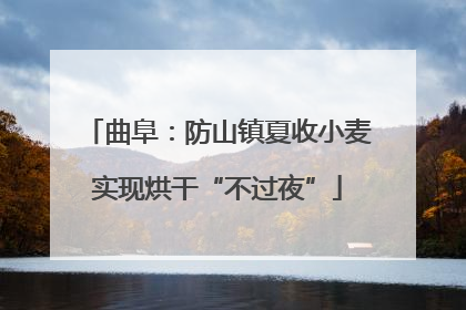 曲阜：防山镇夏收小麦实现烘干“不过夜”