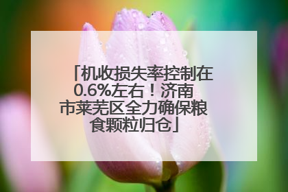 机收损失率控制在0.6%左右！济南市莱芜区全力确保粮食颗粒归仓