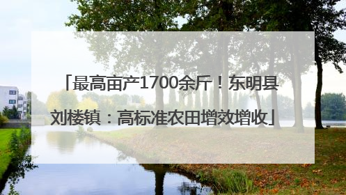 最高亩产1700余斤！东明县刘楼镇：高标准农田增效增收