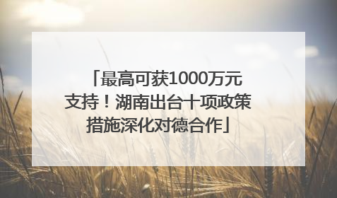 最高可获1000万元支持！湖南出台十项政策措施深化对德合作