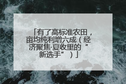 有了高标准农田，亩均纯利增六成（经济聚焦·夏收里的“新选手”）
