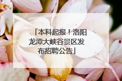 本科起报！洛阳龙潭大峡谷景区发布招聘公告