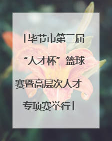 毕节市第三届“人才杯”篮球赛暨高层次人才专项赛举行