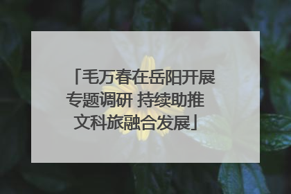 毛万春在岳阳开展专题调研 持续助推文科旅融合发展