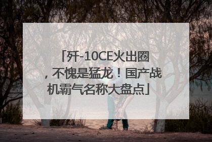 歼-10CE火出圈，不愧是猛龙！国产战机霸气名称大盘点