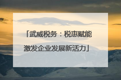 武威税务：税惠赋能 激发企业发展新活力