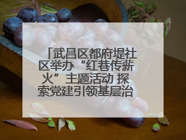 武昌区都府堤社区举办“红巷传薪火”主题活动 探索党建引领基层治理新路径