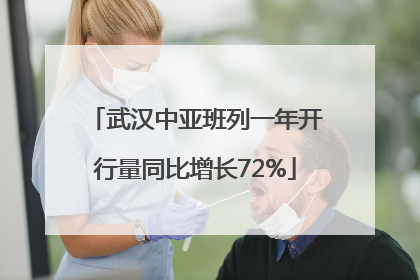 武汉中亚班列一年开行量同比增长72%