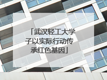 武汉轻工大学子以实际行动传承红色基因