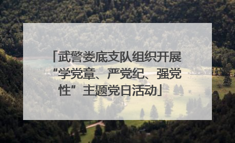 武警娄底支队组织开展“学党章、严党纪、强党性”主题党日活动