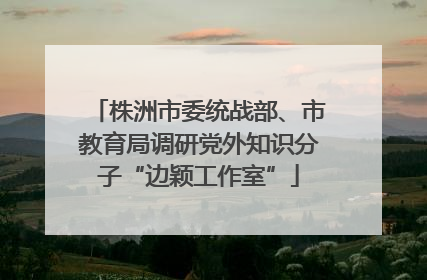 株洲市委统战部、市教育局调研党外知识分子“边颖工作室”