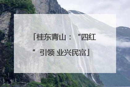 桂东青山：“四红”引领 业兴民富