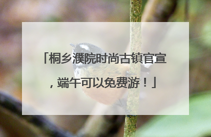 桐乡濮院时尚古镇官宣，端午可以免费游！