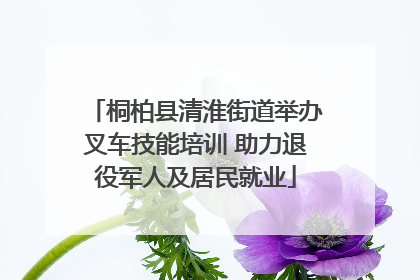 桐柏县清淮街道举办叉车技能培训 助力退役军人及居民就业