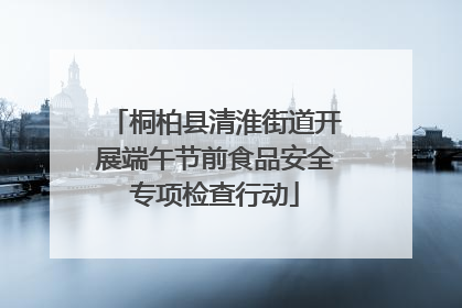 桐柏县清淮街道开展端午节前食品安全专项检查行动