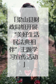 梁山县财政局组开展“美好生活 民法典相伴”主题学习宣传活动