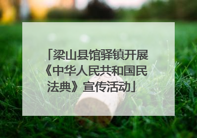 梁山县馆驿镇开展《中华人民共和国民法典》宣传活动