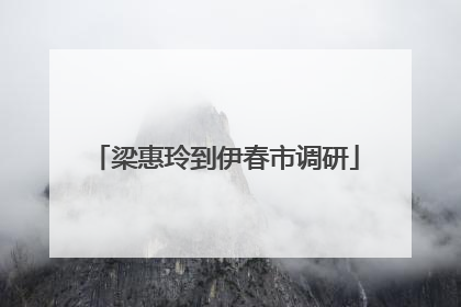 梁惠玲到伊春市调研