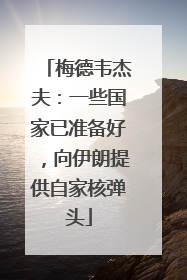 梅德韦杰夫：一些国家已准备好，向伊朗提供自家核弹头