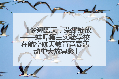 梦翔蓝天，荣耀绽放——蚌埠第三实验学校在航空航天教育竞赛活动中大放异彩