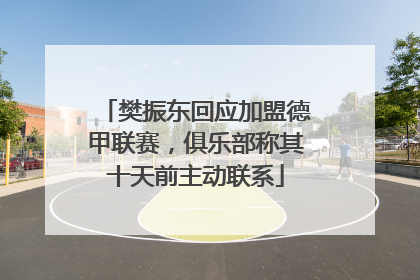 樊振东回应加盟德甲联赛，俱乐部称其十天前主动联系