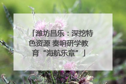 潍坊昌乐：深挖特色资源 奏响研学教育“海航乐章”