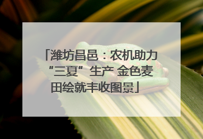 潍坊昌邑：农机助力“三夏”生产 金色麦田绘就丰收图景