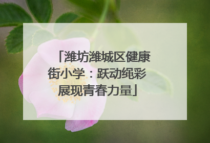 潍坊潍城区健康街小学：跃动绳彩展现青春力量