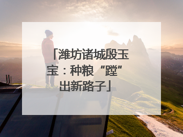 潍坊诸城殷玉宝：种粮“蹚”出新路子