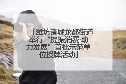 潍坊诸城龙都街道举行“提振消费·助力发展”首批示范单位授牌活动