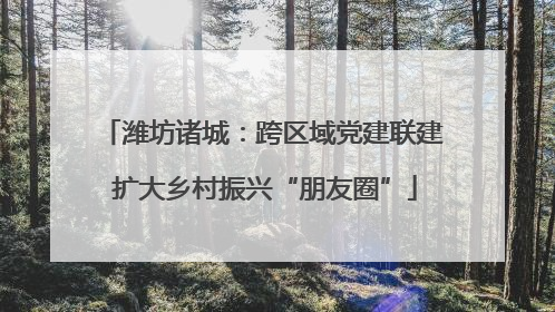 潍坊诸城：跨区域党建联建 扩大乡村振兴“朋友圈”