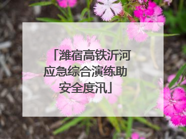 潍宿高铁沂河应急综合演练助安全度汛