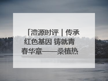 澧源时评｜传承红色基因 铸就青春华章——桑植热土上的青春长征