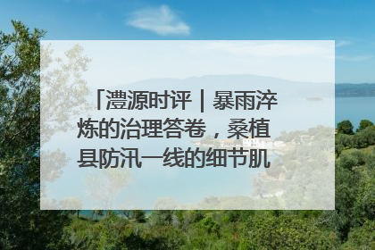 澧源时评｜暴雨淬炼的治理答卷，桑植县防汛一线的细节肌理与体系力量