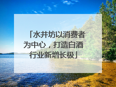 水井坊以消费者为中心，打造白酒行业新增长极