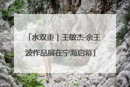 水双重｜王敏杰·余王波作品展在宁海启幕