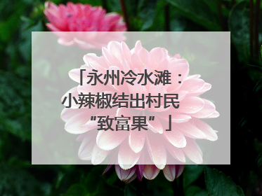 永州冷水滩：小辣椒结出村民“致富果”
