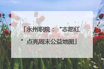 永州职院：“志愿红”点亮周末公益地图