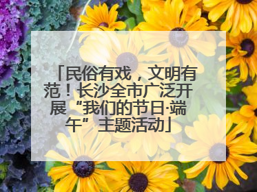 民俗有戏，文明有范！长沙全市广泛开展“我们的节日·端午”主题活动