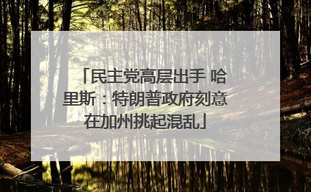民主党高层出手 哈里斯：特朗普政府刻意在加州挑起混乱