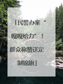 民警办案“嘎嘎给力”！群众称赞送定制锦旗