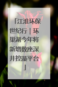 江淮环保世纪行｜环巢湖今年将新增数座深井控藻平台