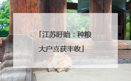 江苏盱眙：种粮大户喜获丰收