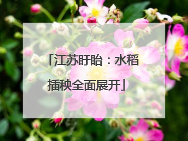 江苏盱眙：水稻插秧全面展开