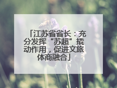 江苏省省长：充分发挥“苏超”撬动作用，促进文旅体商融合
