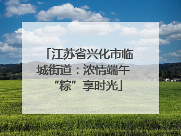 江苏省兴化市临城街道：浓情端午 “粽”享时光
